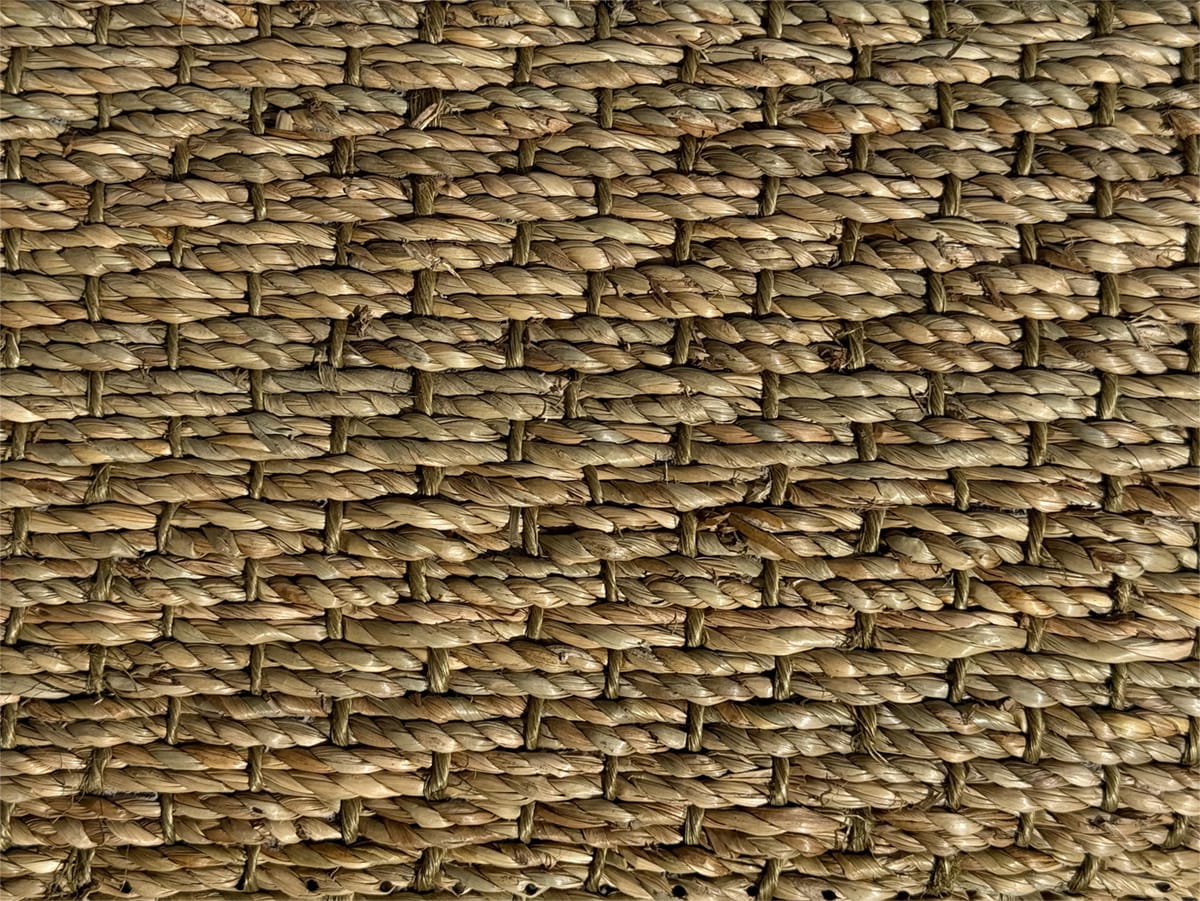 Seagrass Rug
